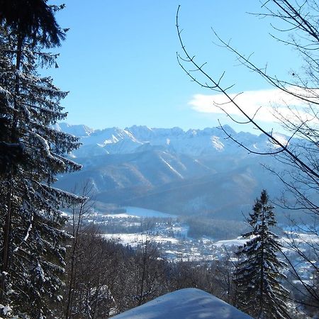 Villa Chata Stacha Zakopane Exterior foto