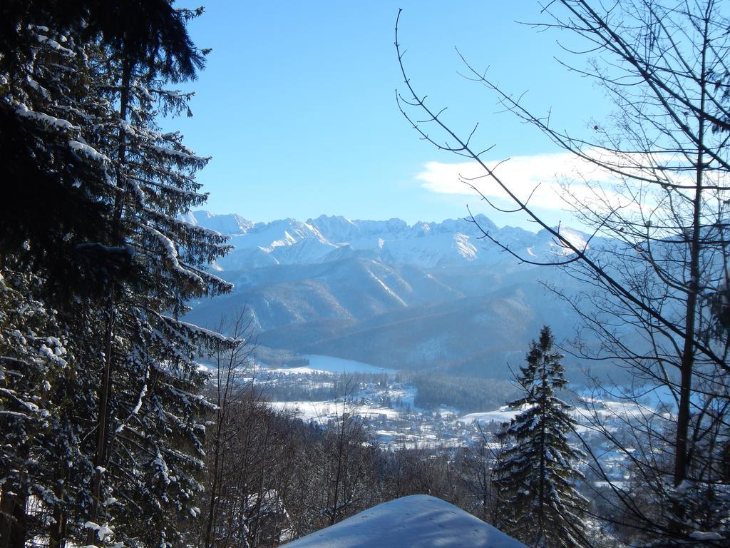 Villa Chata Stacha Zakopane Exterior foto