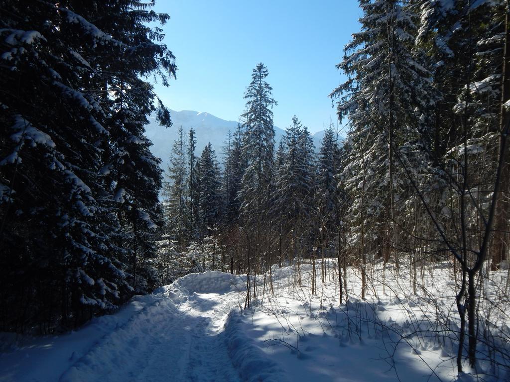 Villa Chata Stacha Zakopane Exterior foto